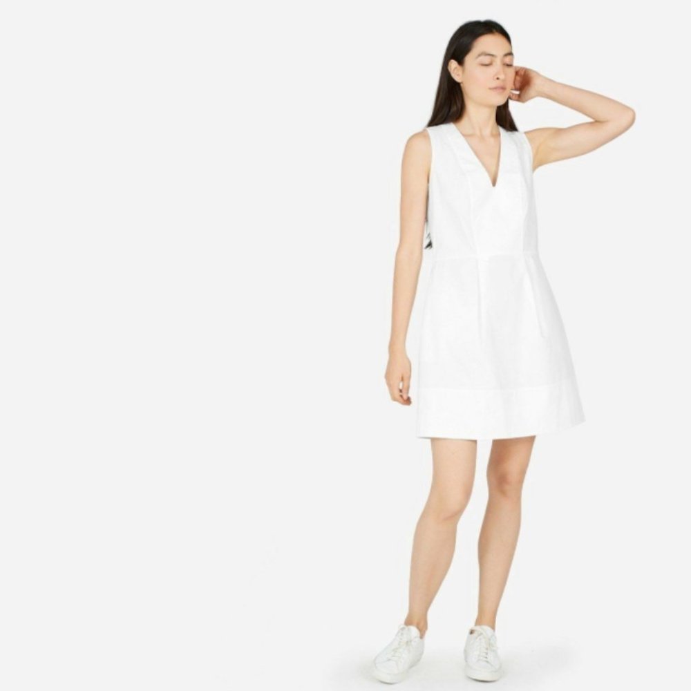 Everlane The Cotton Poplin Dress